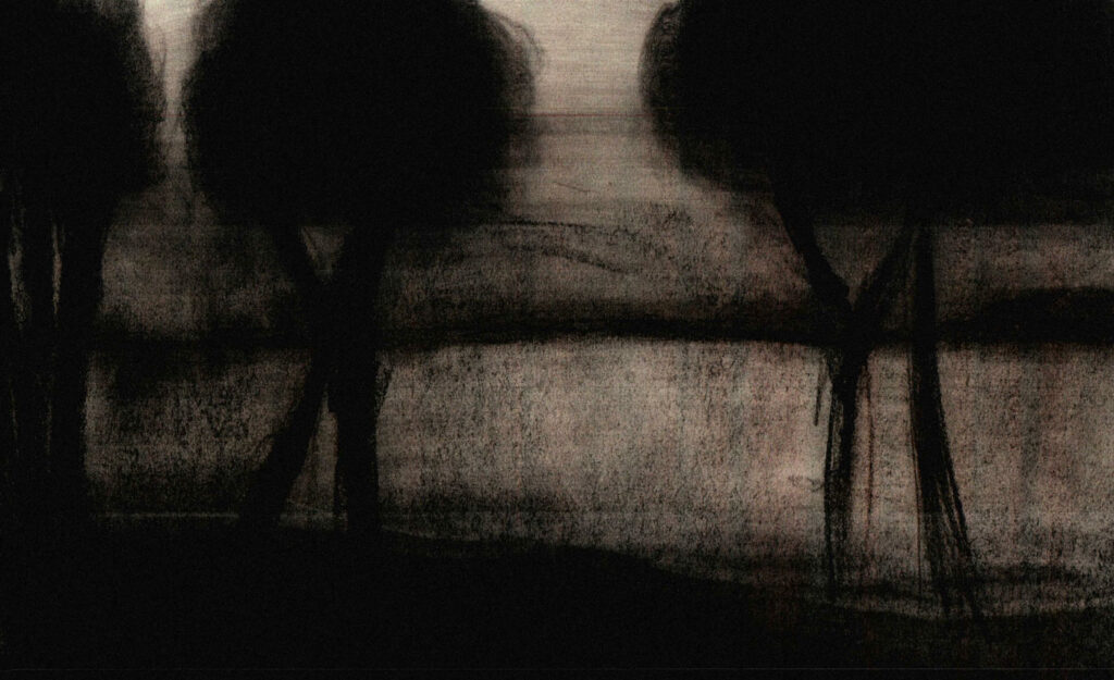IMAG0070-1